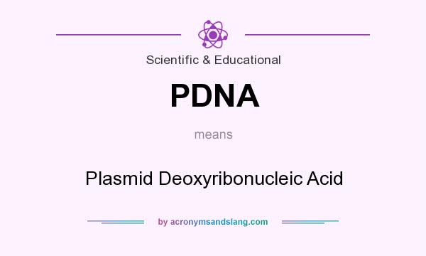 What does PDNA mean? It stands for Plasmid Deoxyribonucleic Acid