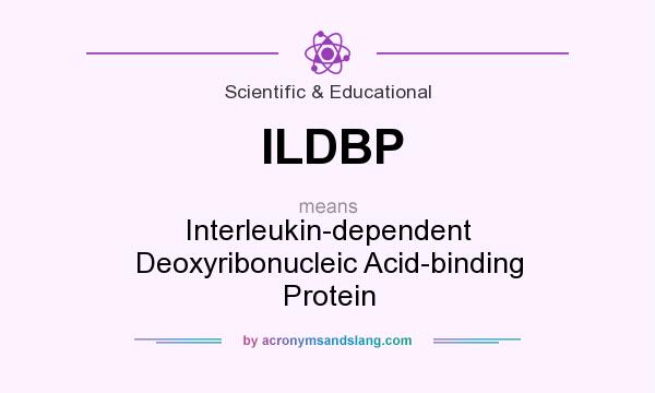 What does ILDBP mean? It stands for Interleukin-dependent Deoxyribonucleic Acid-binding Protein