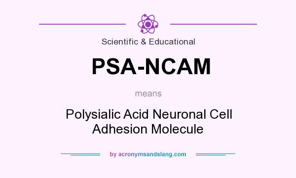 What does PSA-NCAM mean? It stands for Polysialic Acid Neuronal Cell Adhesion Molecule
