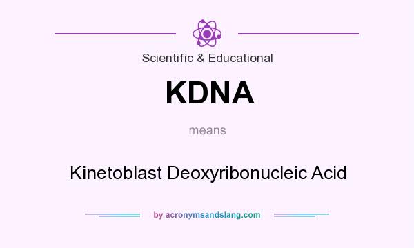 What does KDNA mean? It stands for Kinetoblast Deoxyribonucleic Acid