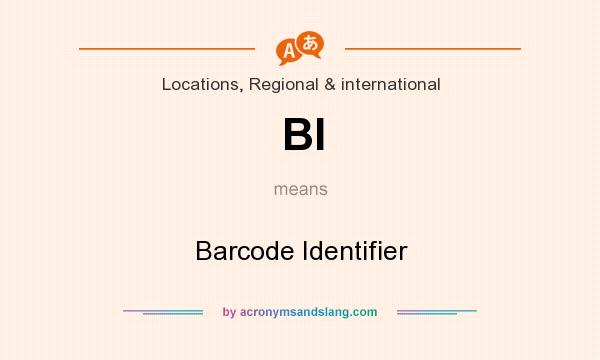 What does BI mean? It stands for Barcode Identifier