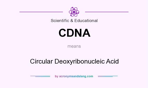 What does CDNA mean? It stands for Circular Deoxyribonucleic Acid