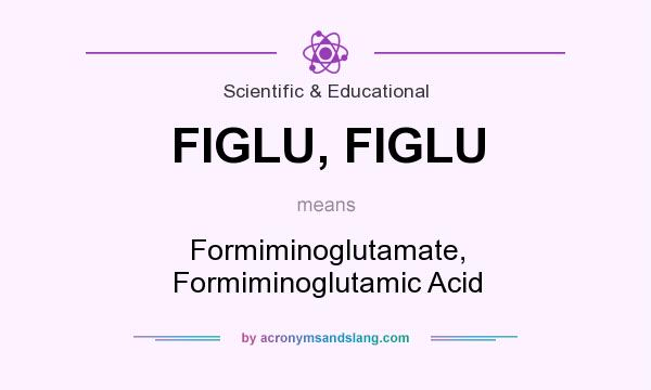 What does FIGLU, FIGLU mean? It stands for Formiminoglutamate, Formiminoglutamic Acid