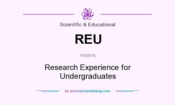 What does REU mean? It stands for Research Experience for Undergraduates