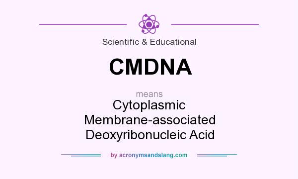 What does CMDNA mean? It stands for Cytoplasmic Membrane-associated Deoxyribonucleic Acid