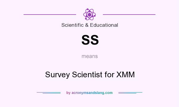 What does SS mean? It stands for Survey Scientist for XMM