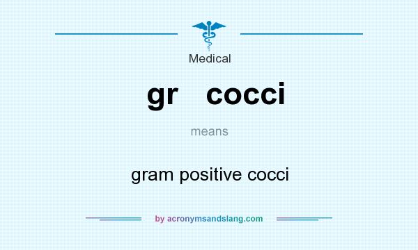 What does gr   cocci mean? It stands for gram positive cocci