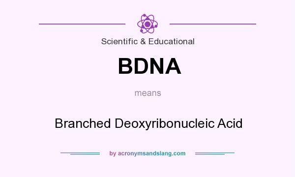 What does BDNA mean? It stands for Branched Deoxyribonucleic Acid