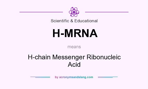What does H-MRNA mean? It stands for H-chain Messenger Ribonucleic Acid