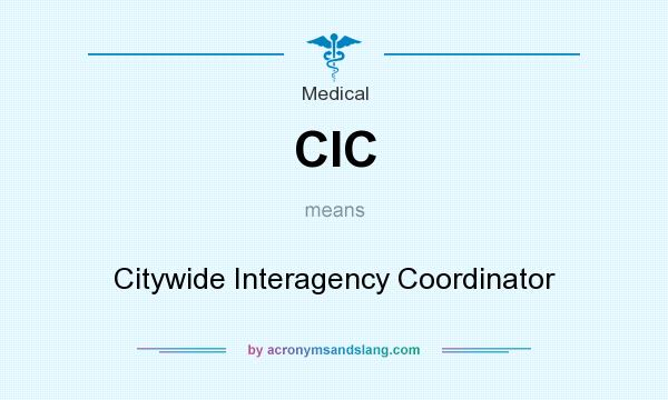 What does CIC mean? It stands for Citywide Interagency Coordinator