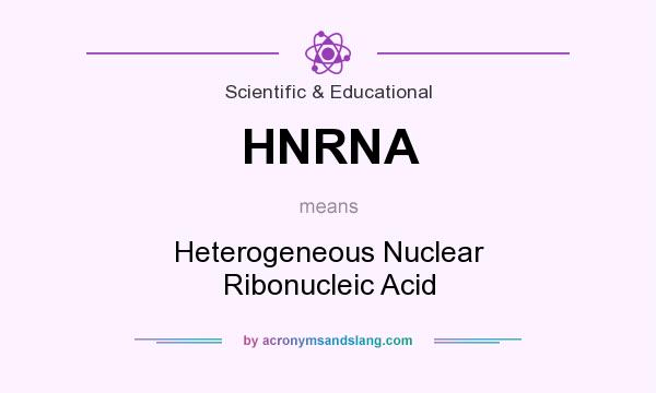 What does HNRNA mean? It stands for Heterogeneous Nuclear Ribonucleic Acid