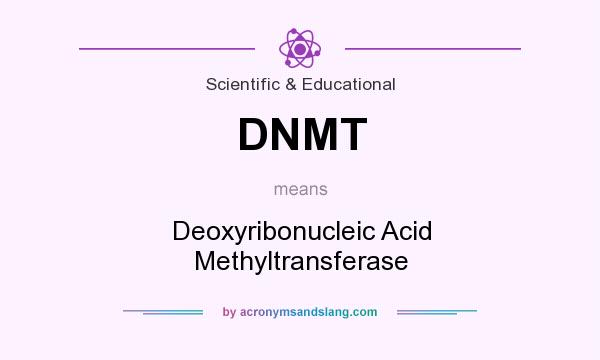 What does DNMT mean? It stands for Deoxyribonucleic Acid Methyltransferase