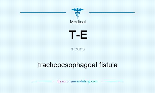 What does T-E mean? It stands for tracheoesophageal fistula