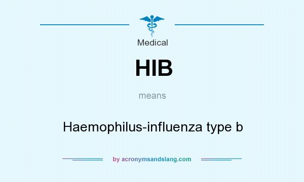 What does HIB mean? It stands for Haemophilus-influenza type b