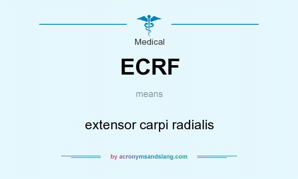 What does ECRF mean? It stands for extensor carpi radialis