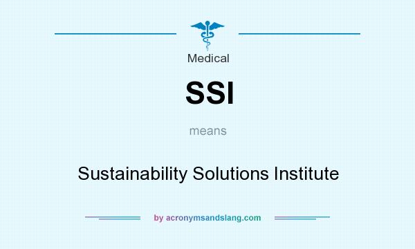 What does SSI mean? It stands for Sustainability Solutions Institute