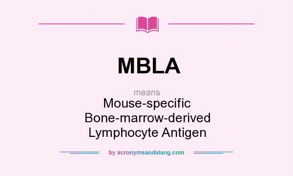 What does MBLA mean? It stands for Mouse-specific Bone-marrow-derived Lymphocyte Antigen