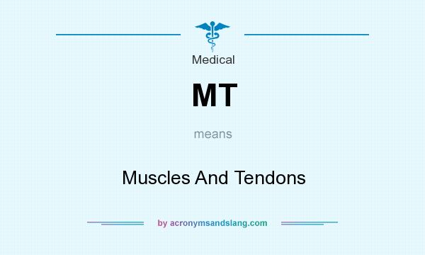 What does MT mean? It stands for Muscles And Tendons