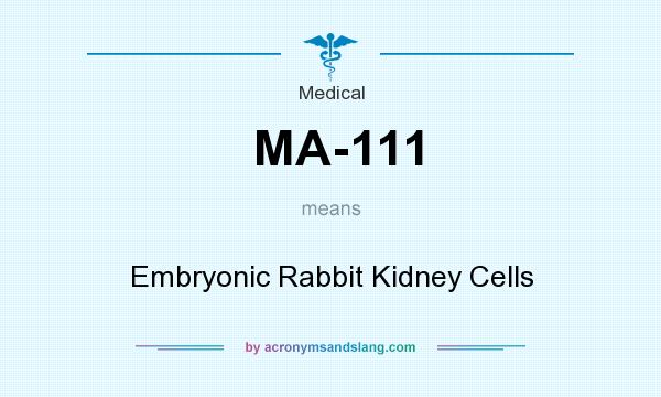 What does MA-111 mean? It stands for Embryonic Rabbit Kidney Cells
