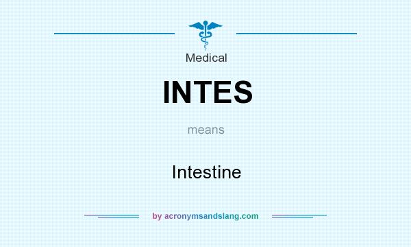 What does INTES mean? It stands for Intestine