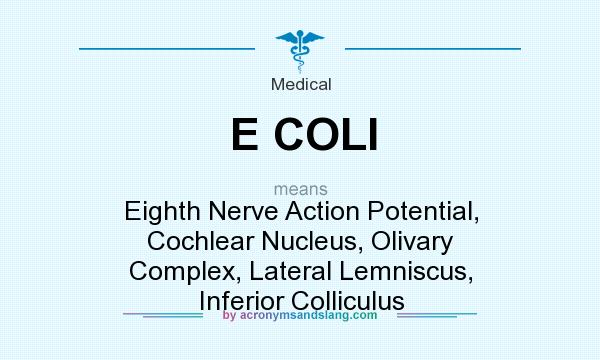 What does E COLI mean? It stands for Eighth Nerve Action Potential, Cochlear Nucleus, Olivary Complex, Lateral Lemniscus, Inferior Colliculus