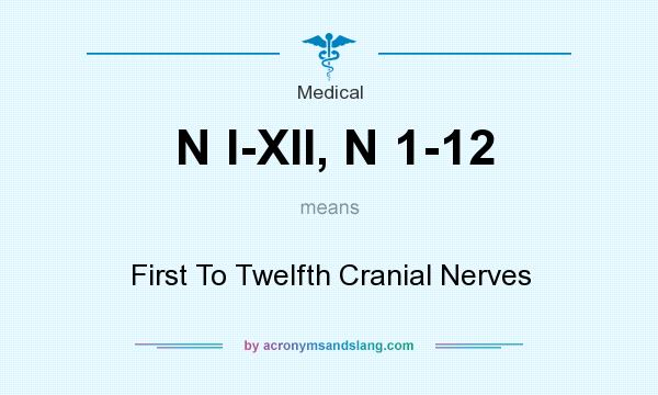 What does N I-XII, N 1-12 mean? It stands for First To Twelfth Cranial Nerves