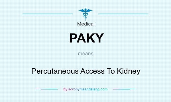 What does PAKY mean? It stands for Percutaneous Access To Kidney