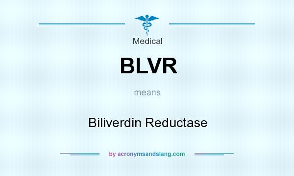 What does BLVR mean? It stands for Biliverdin Reductase