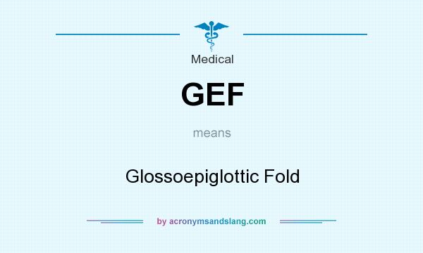 What does GEF mean? It stands for Glossoepiglottic Fold
