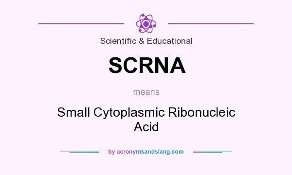 What does SCRNA mean? It stands for Small Cytoplasmic Ribonucleic Acid