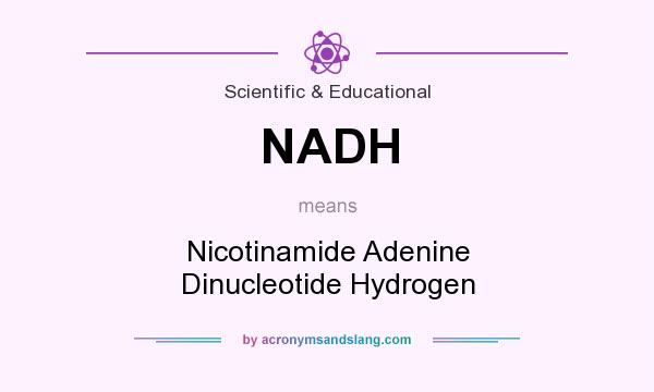 What does NADH mean? It stands for Nicotinamide Adenine Dinucleotide Hydrogen
