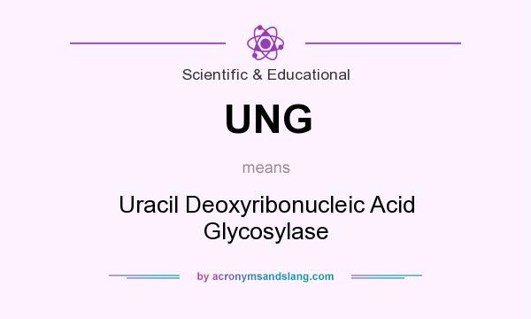 What does UNG mean? It stands for Uracil Deoxyribonucleic Acid Glycosylase