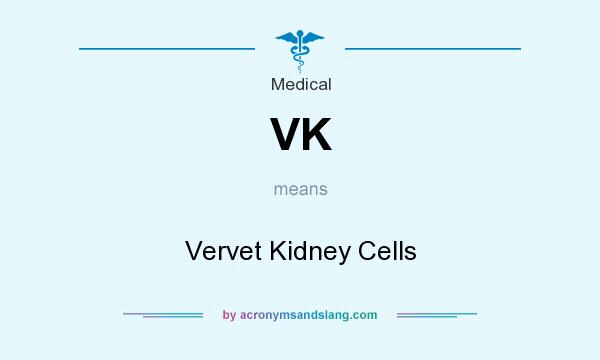 What does VK mean? It stands for Vervet Kidney Cells