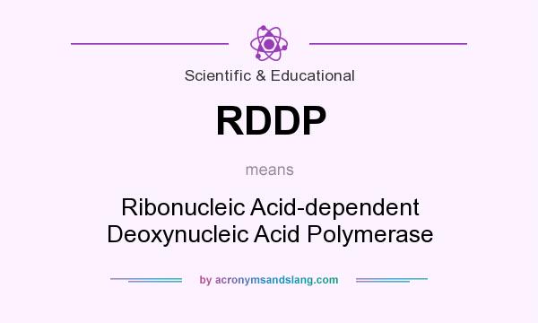 What does RDDP mean? It stands for Ribonucleic Acid-dependent Deoxynucleic Acid Polymerase