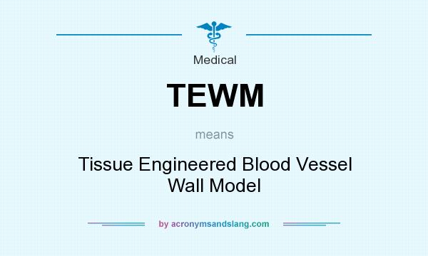 What does TEWM mean? It stands for Tissue Engineered Blood Vessel Wall Model