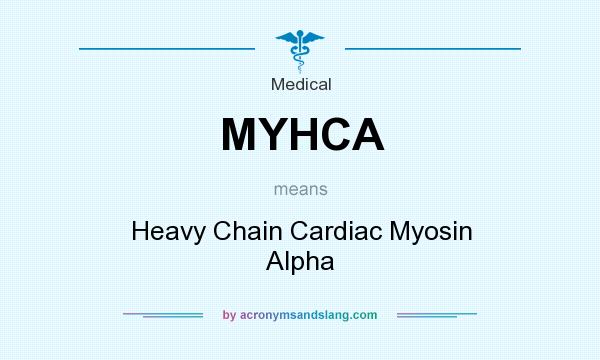 What does MYHCA mean? It stands for Heavy Chain Cardiac Myosin Alpha