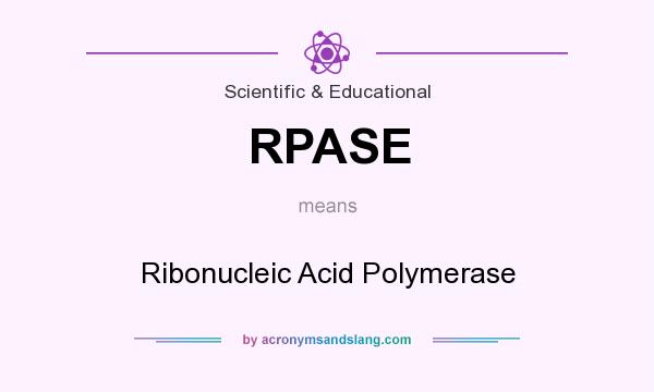 What does RPASE mean? It stands for Ribonucleic Acid Polymerase