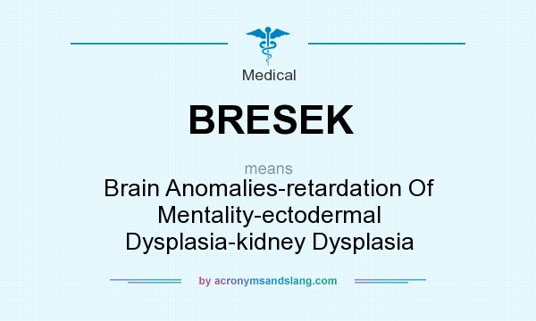 What does BRESEK mean? It stands for Brain Anomalies-retardation Of Mentality-ectodermal Dysplasia-kidney Dysplasia