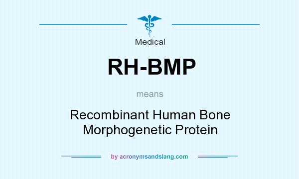 What does RH-BMP mean? It stands for Recombinant Human Bone Morphogenetic Protein