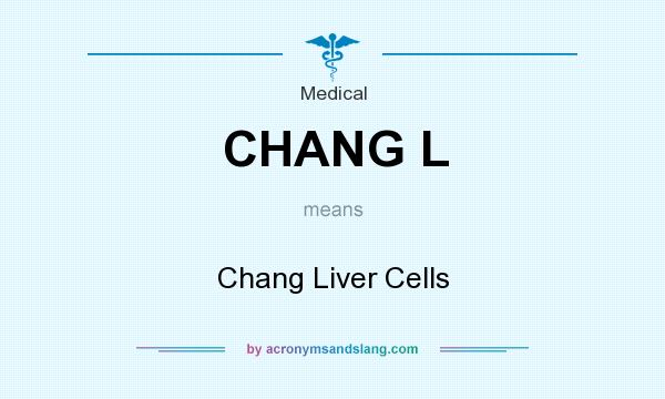 What does CHANG L mean? It stands for Chang Liver Cells