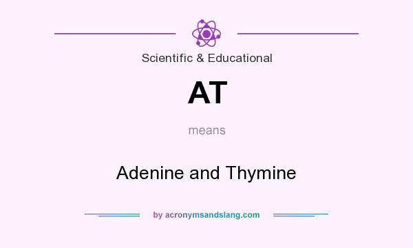 What does AT mean? It stands for Adenine and Thymine
