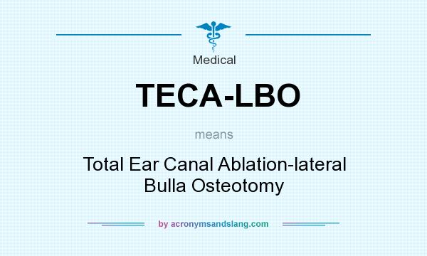 What does TECA-LBO mean? It stands for Total Ear Canal Ablation-lateral Bulla Osteotomy
