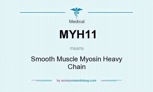 What does MYH11 mean? It stands for Smooth Muscle Myosin Heavy Chain