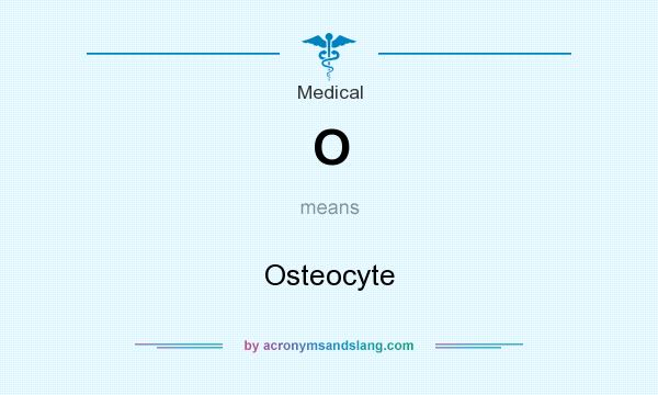 What does O mean? It stands for Osteocyte