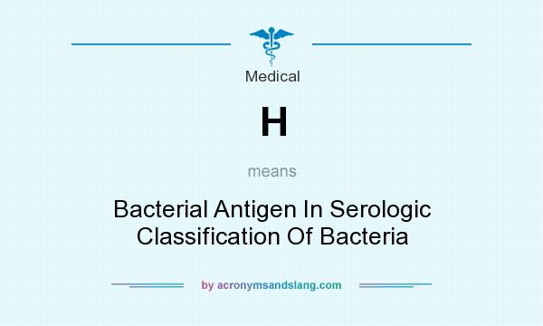 What does H mean? It stands for Bacterial Antigen In Serologic Classification Of Bacteria