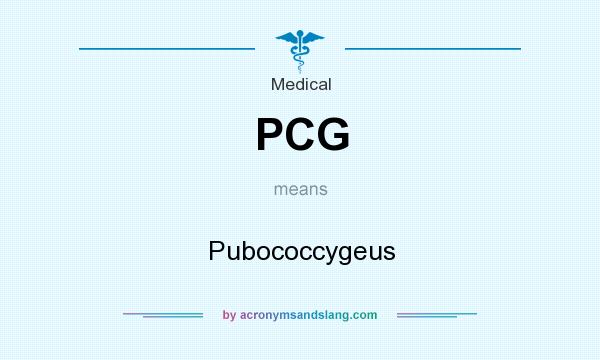 What does PCG mean? It stands for Pubococcygeus