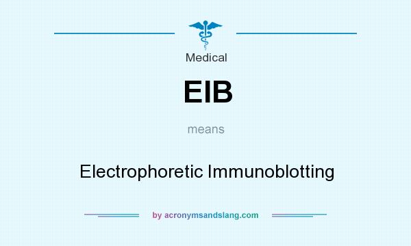 What does EIB mean? It stands for Electrophoretic Immunoblotting
