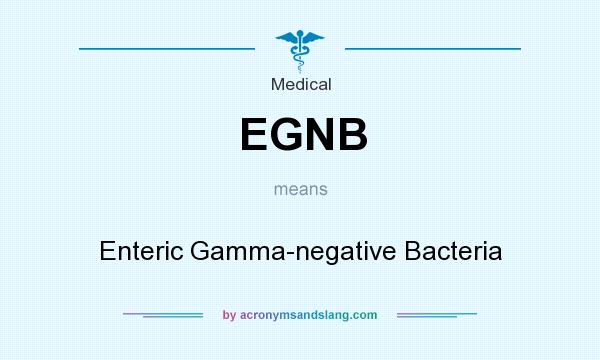 What does EGNB mean? It stands for Enteric Gamma-negative Bacteria
