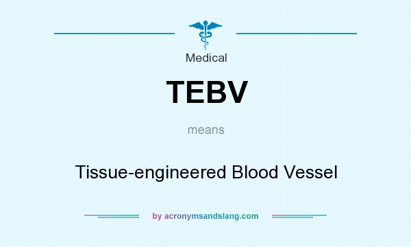 What does TEBV mean? It stands for Tissue-engineered Blood Vessel