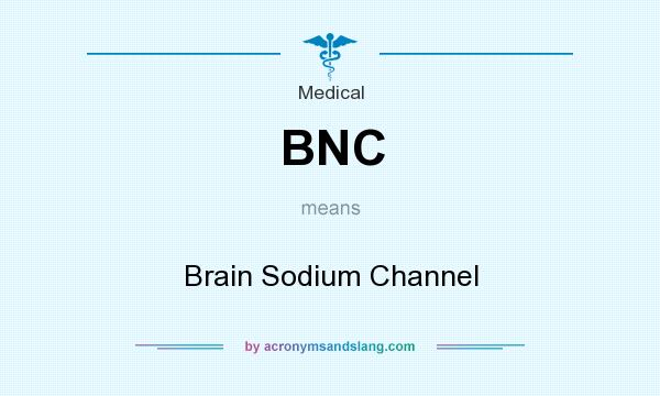 What does BNC mean? It stands for Brain Sodium Channel